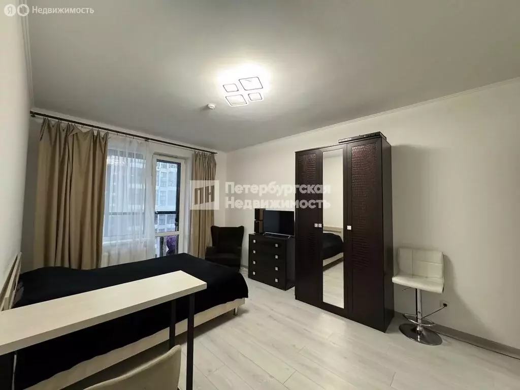 Квартира-студия: Санкт-Петербург, Арцеуловская аллея, 19 (25.2 м) - Фото 1