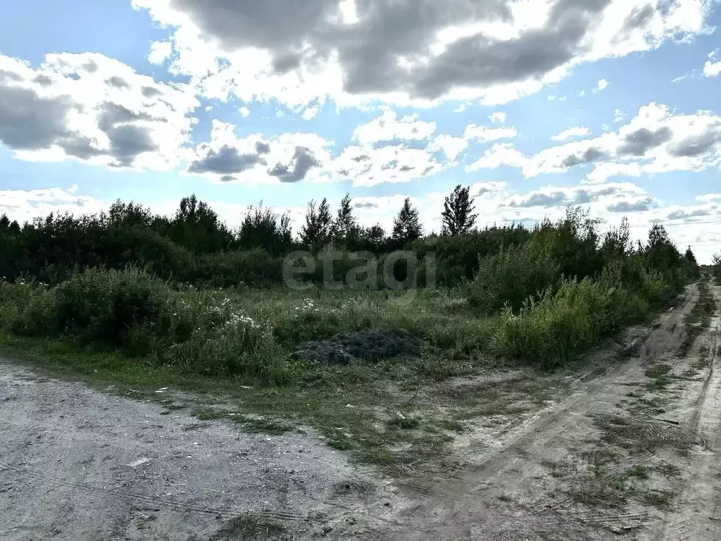 Участок в Тюменская область, Тюменский муниципальный округ, Архип ... - Фото 1