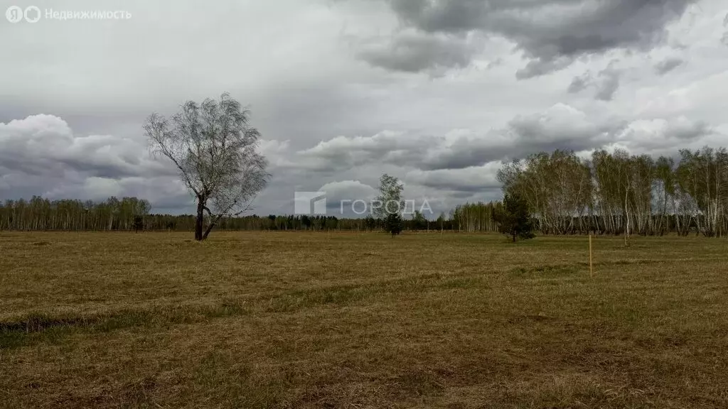 Участок в Ордынский район (10 м) - Фото 1