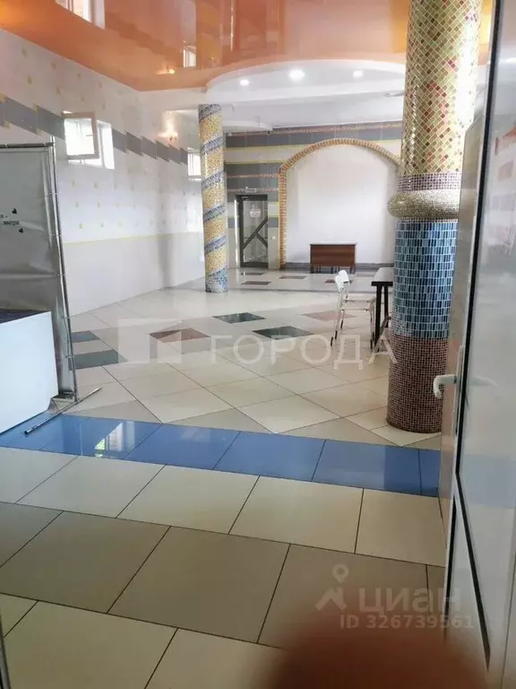 Помещение свободного назначения в Новосибирская область, Новосибирск ... - Фото 1