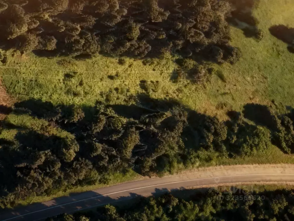 Участок в Алтай, Турочакский район, с. Артыбаш ул. Энергетиков (14.0 ... - Фото 1
