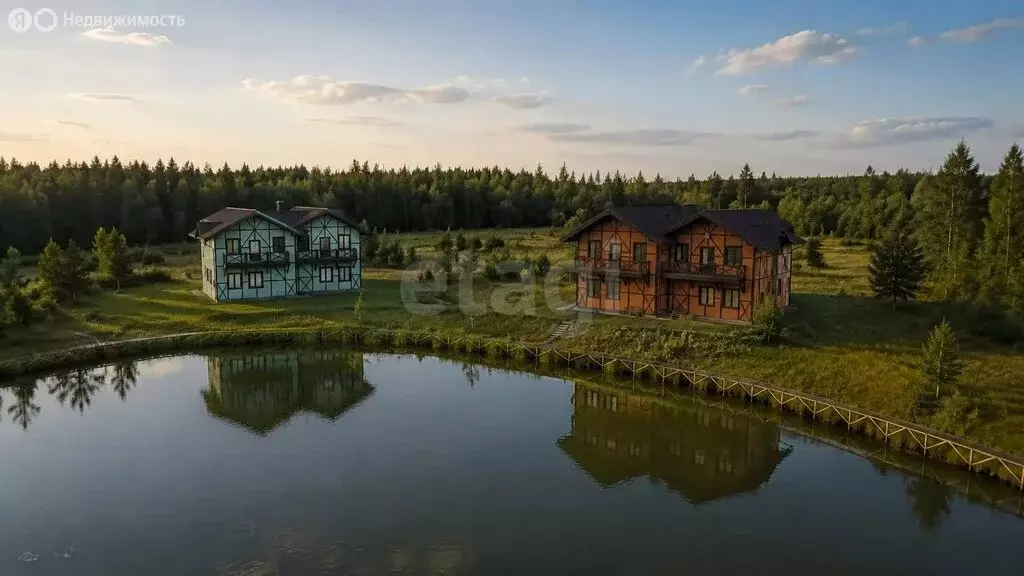 Участок в Ярославская область, Борисоглебский муниципальный округ, ... - Фото 2