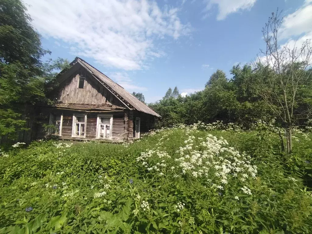 Участок в Новгородская область, Валдайский район, Яжелбицкое с/пос, д. ... - Фото 0