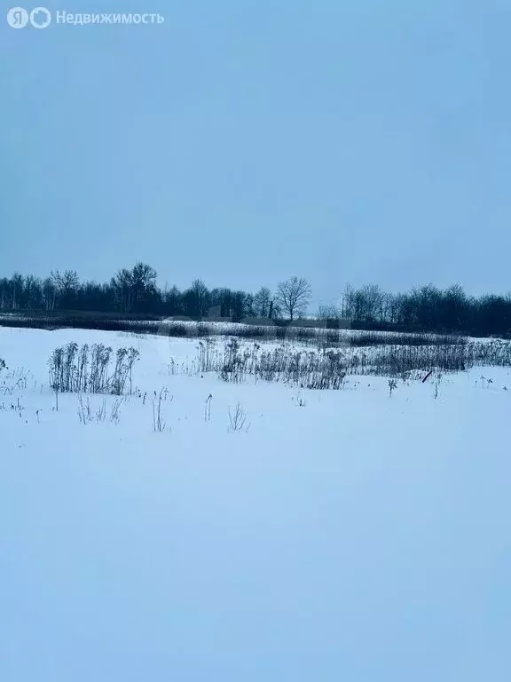 Участок в Калининградская область, Гвардейский муниципальный округ, ... - Фото 2