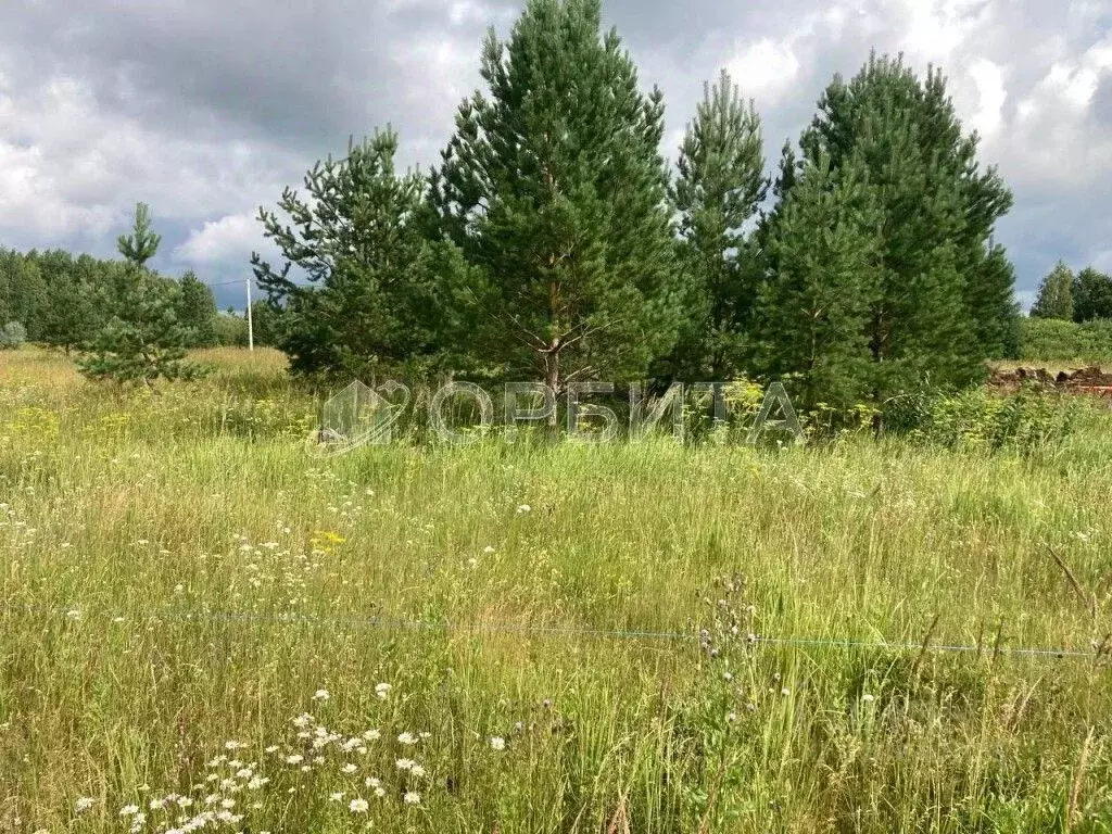 Участок в Тюменская область, Нижнетавдинский муниципальный округ, ... - Фото 2