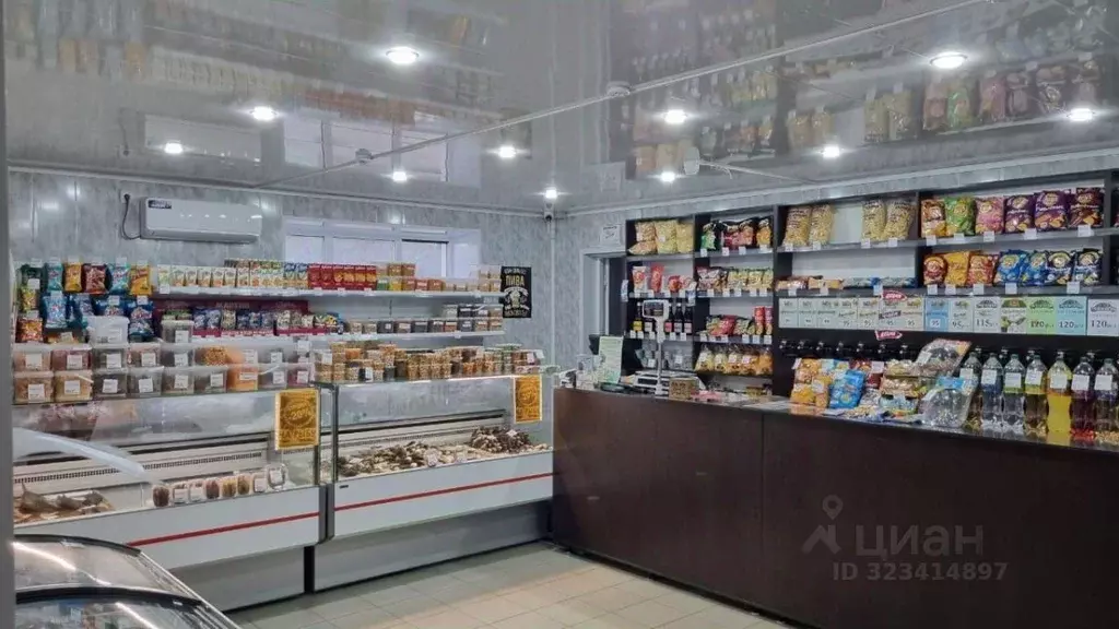 Помещение свободного назначения в Волгоградская область, Елань рп ул. ... - Фото 2