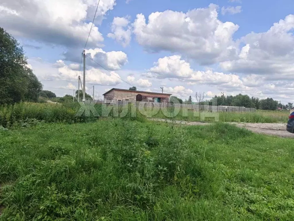 Участок в Новосибирская область, Новосибирский район, с. Криводановка ... - Фото 0