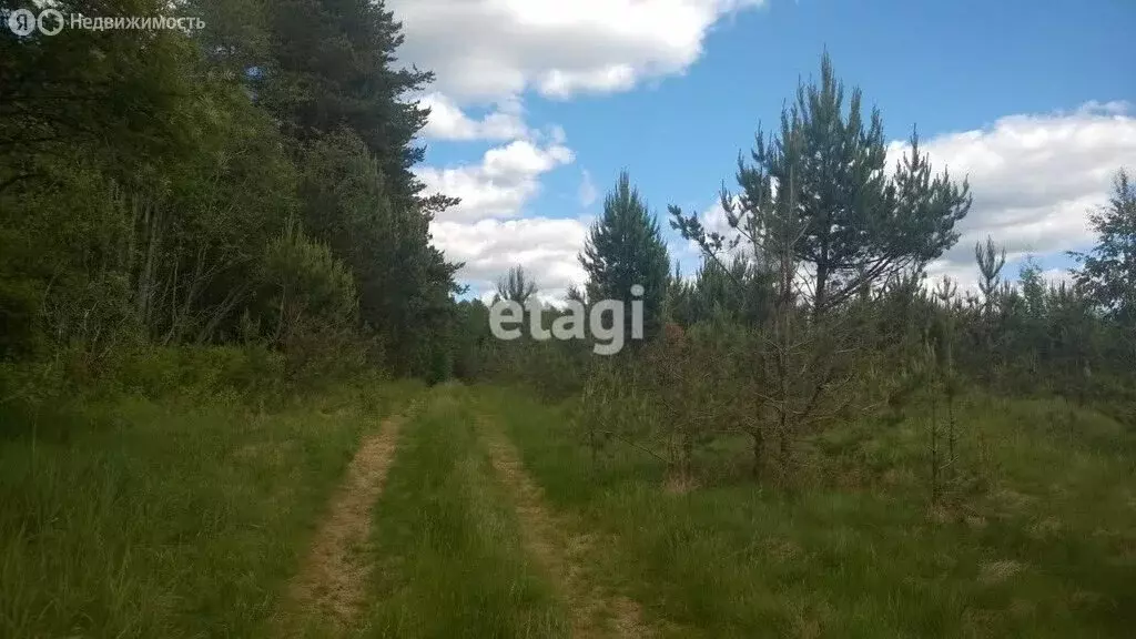 участок в всеволожский район, сертолово (12 м) - Фото 0