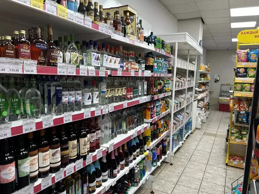 Торговая площадь в Оренбургская область, с. Александровка ул. ... - Фото 0