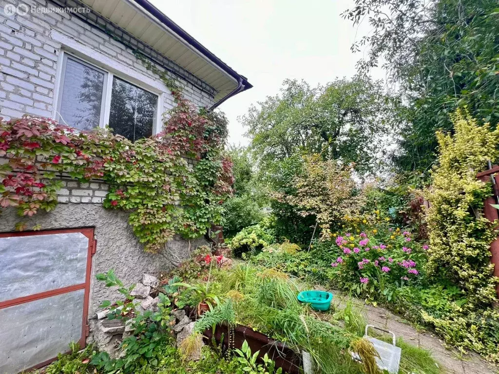 Дом в Белые Берега, улица Чкалова, 6 (80 м) - Фото 1