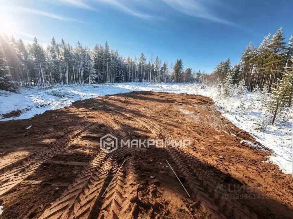Участок в Архангельская область, Приморский муниципальный округ, ... - Фото 1