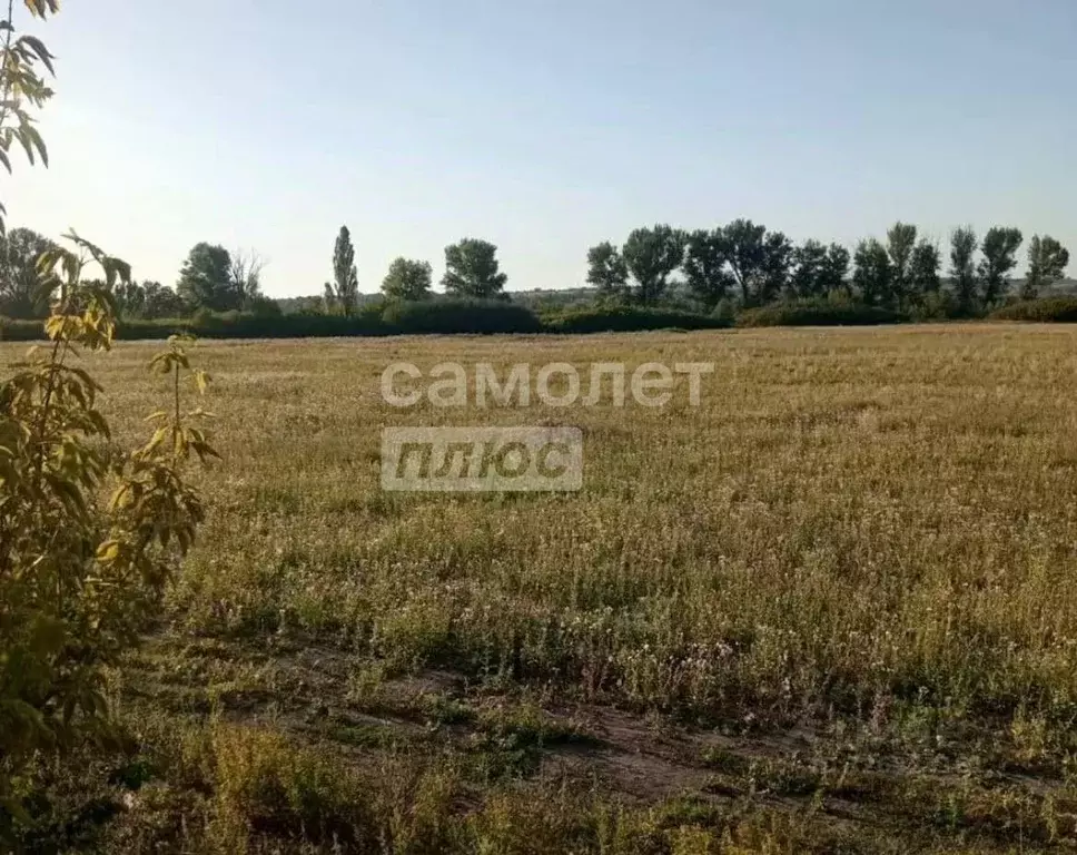 Участок в Ростовская область, Неклиновский район, с. Покровское пер. ... - Фото 2