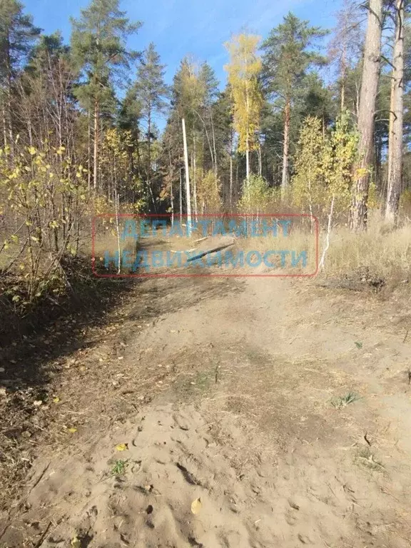 Участок в Ульяновская область, Димитровград ул. Курчатова (10.0 сот.) - Фото 0