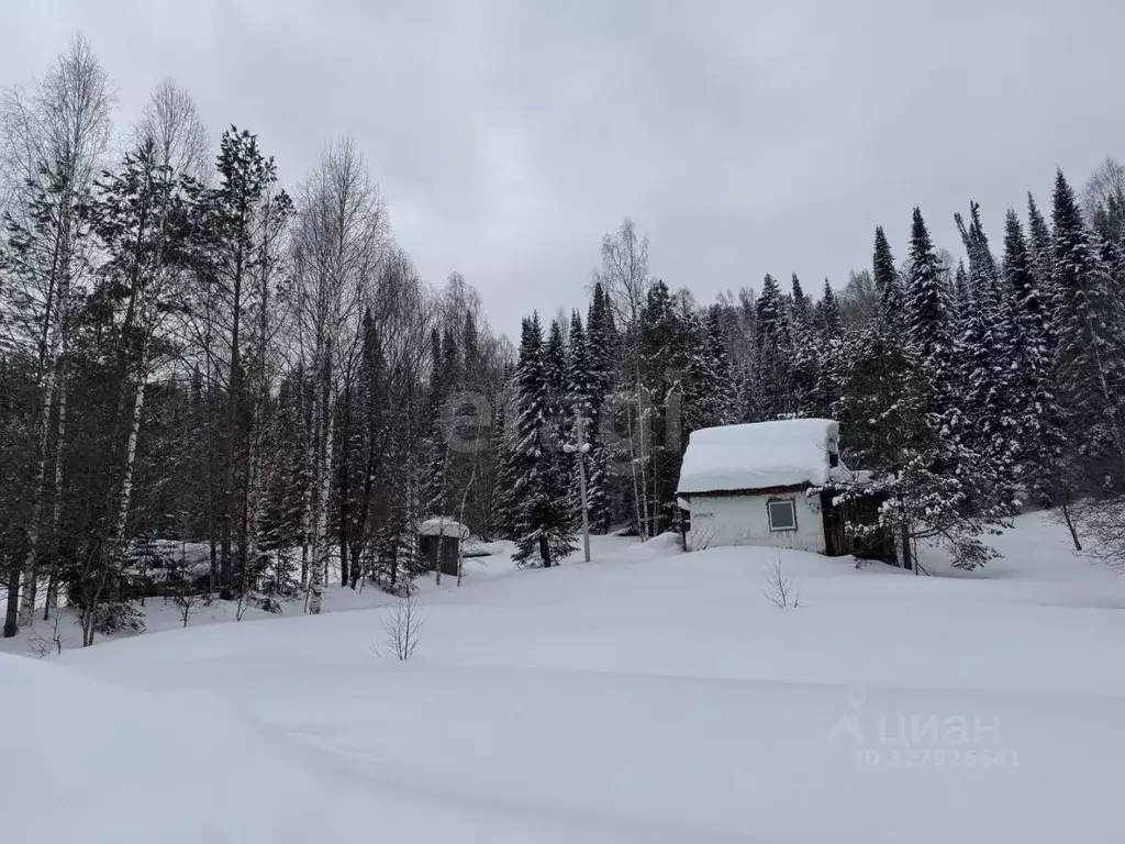 Участок в Алтай, Турочакский район, с. Турочак Цветочная ул., 13 (40.0 ... - Фото 1