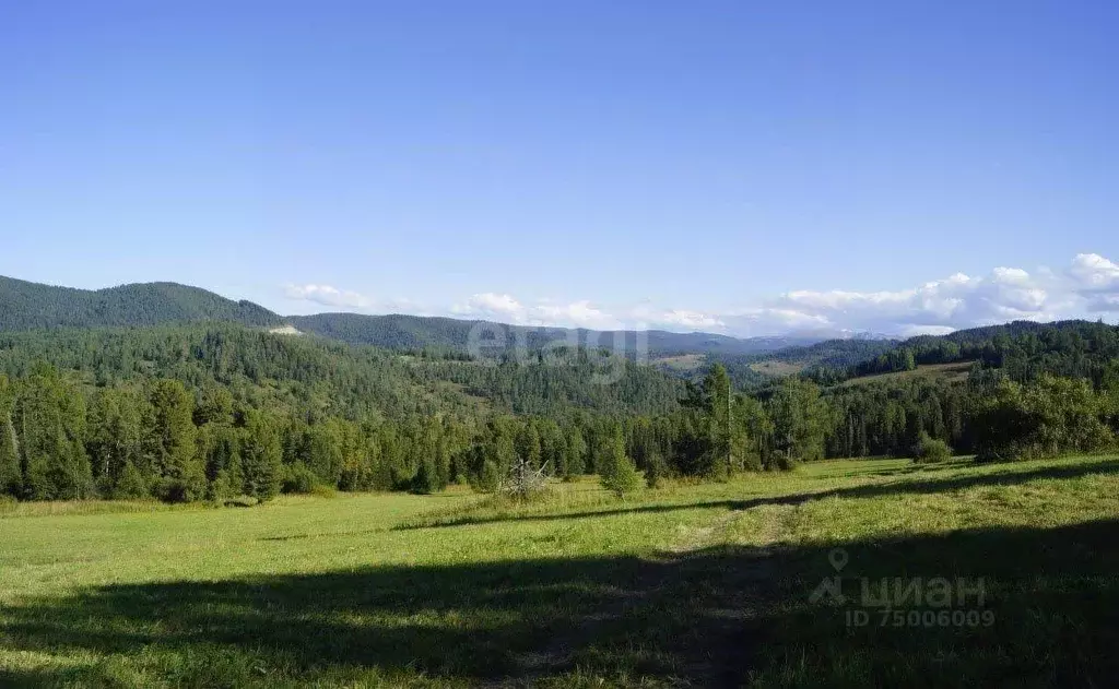 Участок в Алтай, Шебалинский район, с. Шебалино  (130.0 сот.) - Фото 0