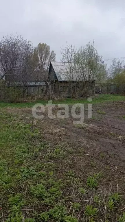 Участок в Брянская область, Брянский район, Мичуринское с/пос, ... - Фото 0