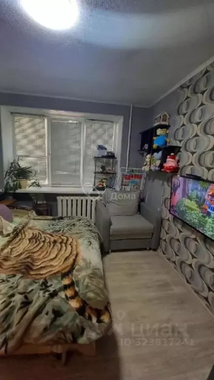 Комната Волгоградская область, Волгоград Жилгородок мкр, ул. Савкина, ... - Фото 1