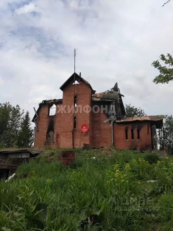 Участок в Новосибирская область, Тогучинский район, с. Карпысак пер. ... - Фото 0