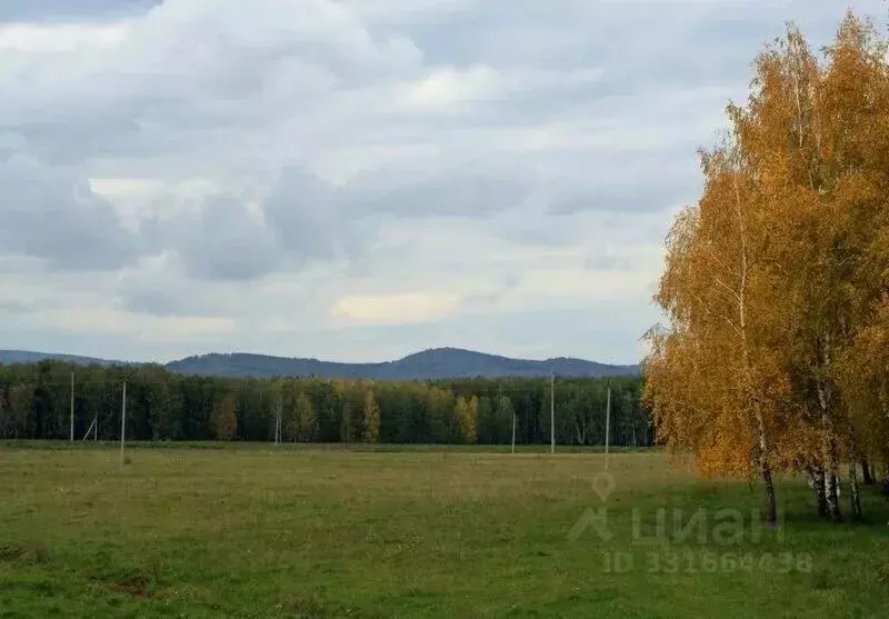 Участок в Челябинская область, Верхнеуральский муниципальный округ, ... - Фото 1
