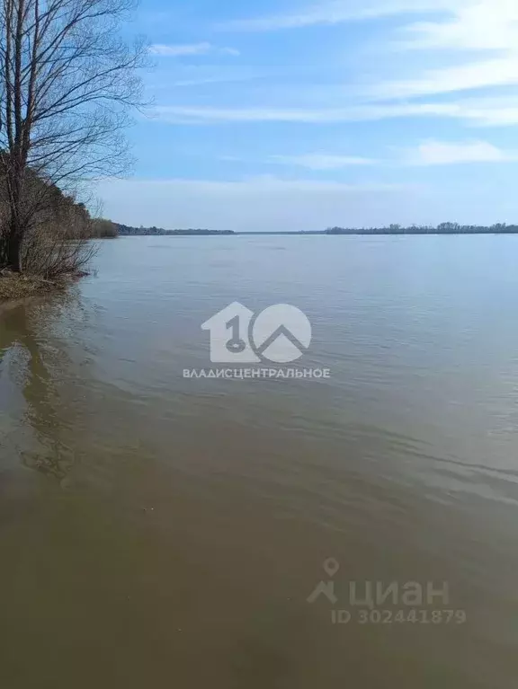 Участок в Новосибирская область, Новосибирский район, Кубовинский ... - Фото 1