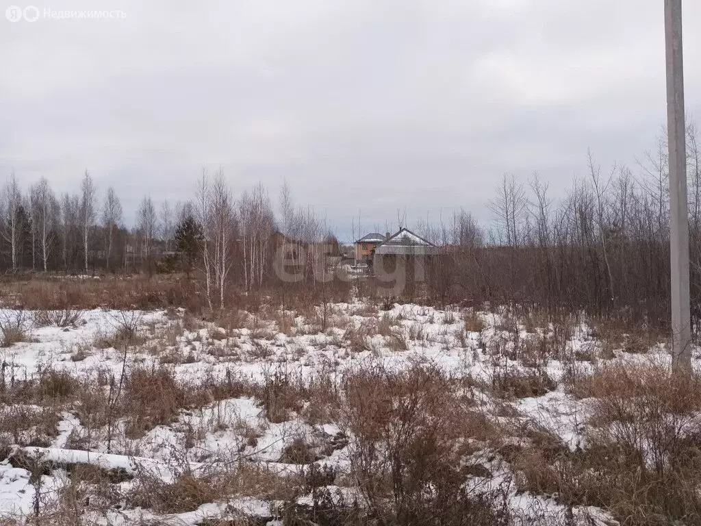 Участок в Тюменская область, Ишимский муниципальный округ, посёлок ... - Фото 2