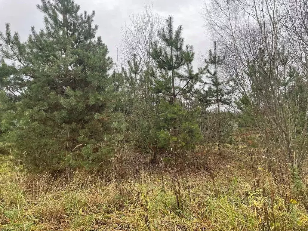 Участок в Московская область, Павлово-Посадский городской округ, д. ... - Фото 1