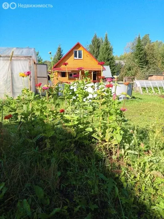 Дом в Пермский муниципальный округ, СНТ Владимирские Сады (42 м) - Фото 1