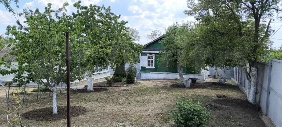 Дом 44,7 м на участке 16,7 сот. - Фото 0