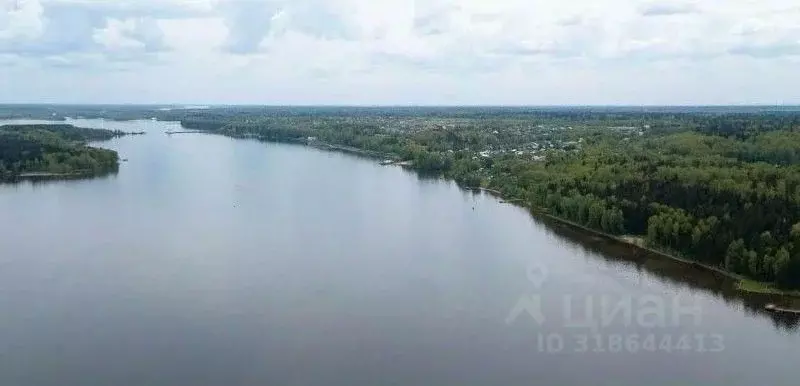 Участок в Московская область, Мытищи городской округ, д. Протасово ул. ... - Фото 0
