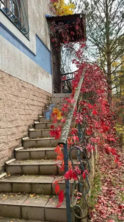 Дом в Тульская область, Веневский район, Центральное муниципальное ... - Фото 1