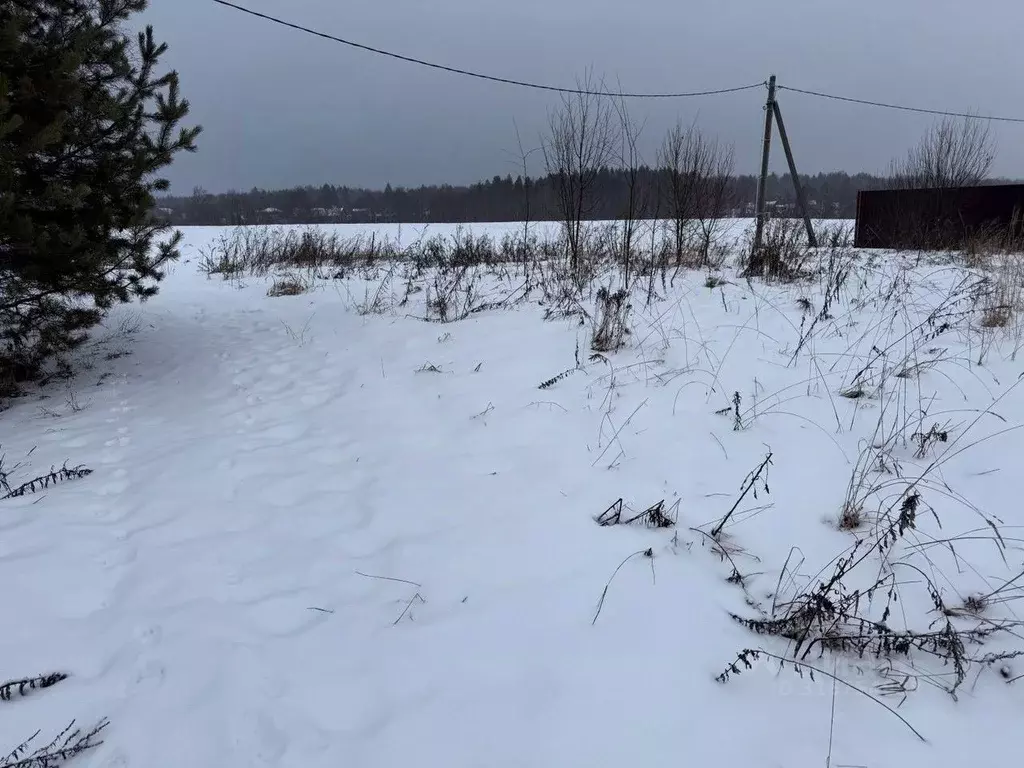 Участок в Московская область, Пушкинский городской округ, д. Никулино  ... - Фото 1