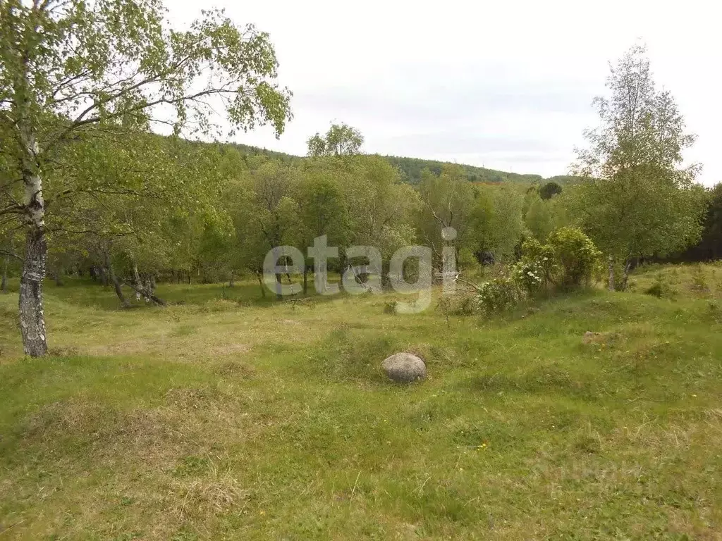 Участок в Бурятия, Бабушкин Кабанский район, Кяхтинская ул. (13.8 ... - Фото 1