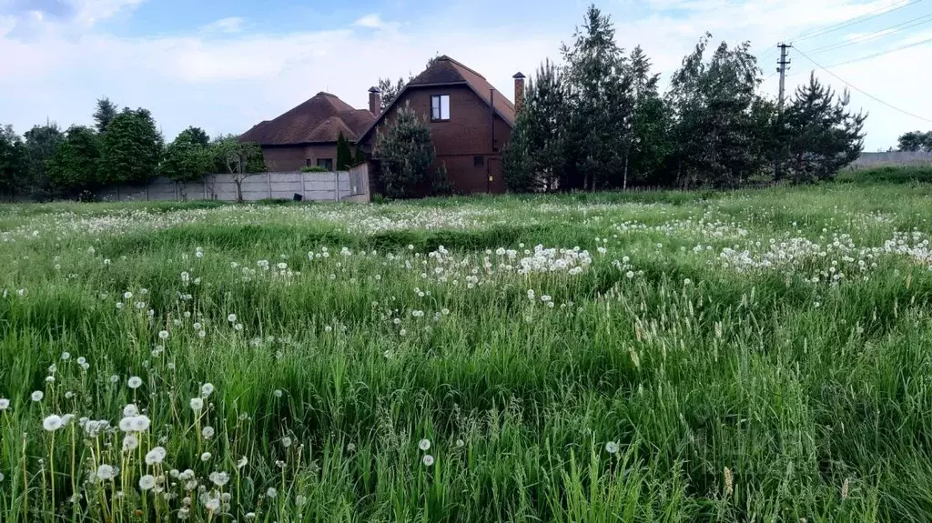 Участок в Курская область, Курский район, Клюквинский сельсовет, с. ... - Фото 2