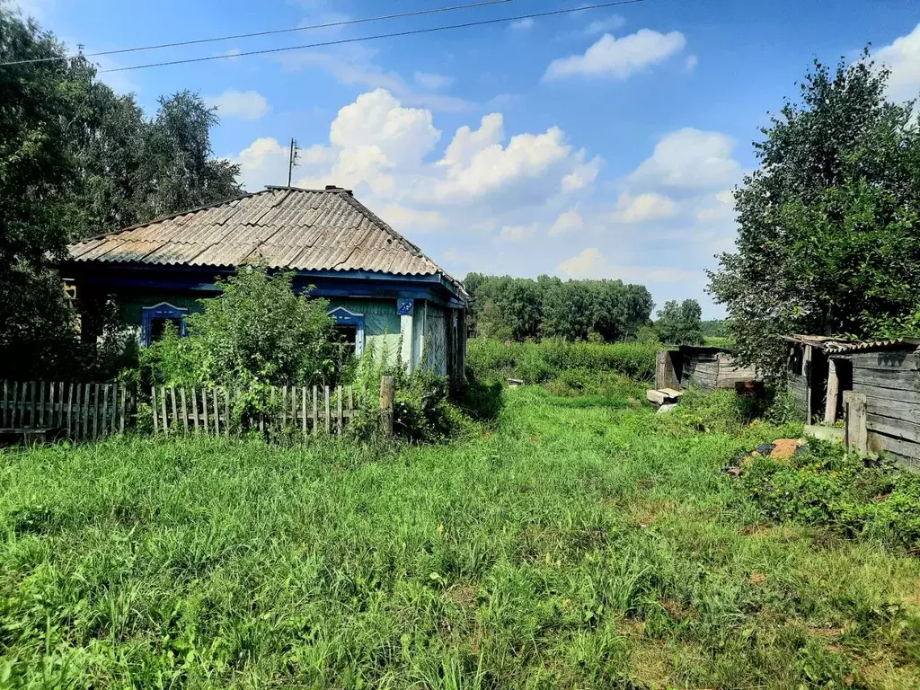 Участок в Кемеровская область, Топкинский район, с. Черемичкино ... - Фото 1