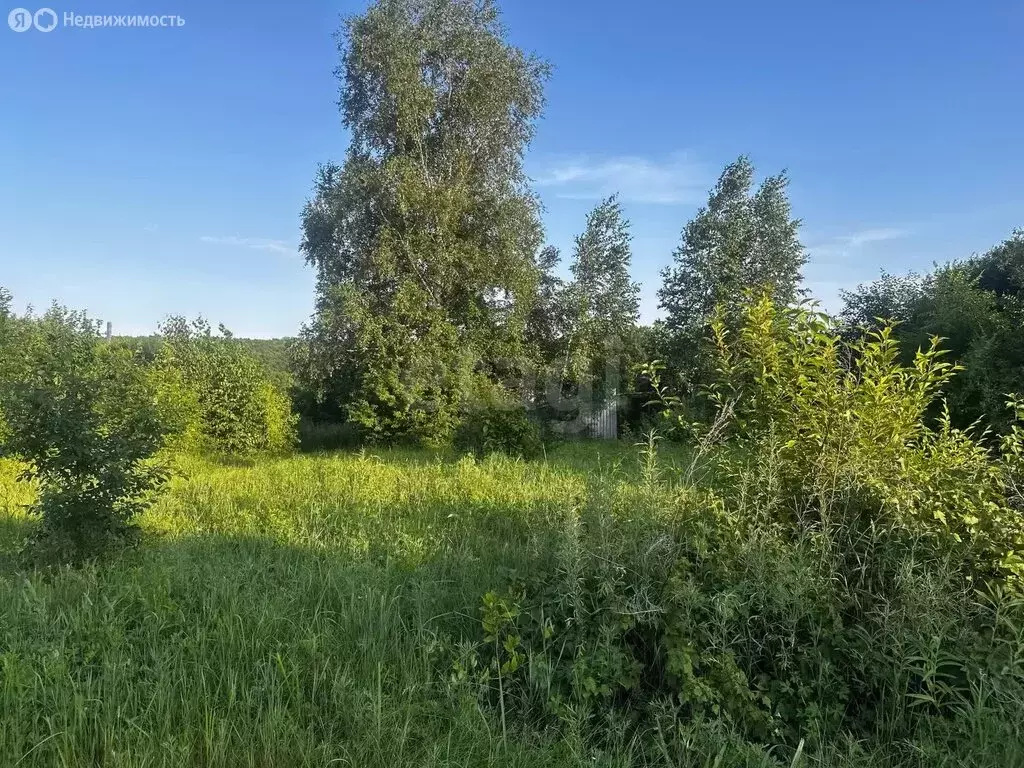 Участок в Благовещенск, посёлок Аэропорт (7.9 м) - Фото 2