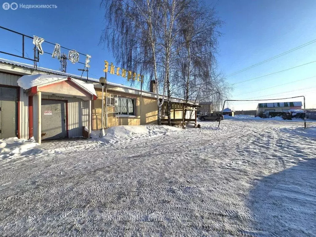 Помещение свободного назначения (275 м) - Фото 2