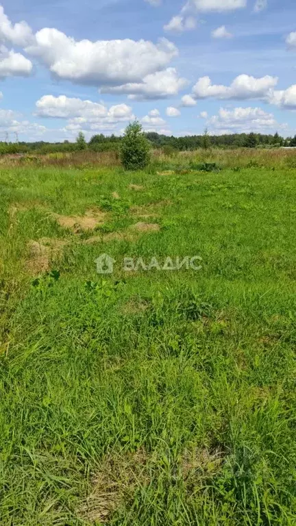 Участок в Московская область, Талдомский городской округ, д. Танино 36 ... - Фото 1