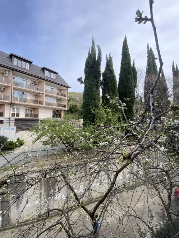 2-к кв. Краснодарский край, Сочи Курортный просп., 100/8 (53.0 м) - Фото 2