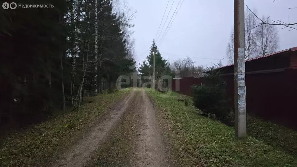 Участок в Мшинское сельское поселение, садоводческий массив Дивенская, ... - Фото 1