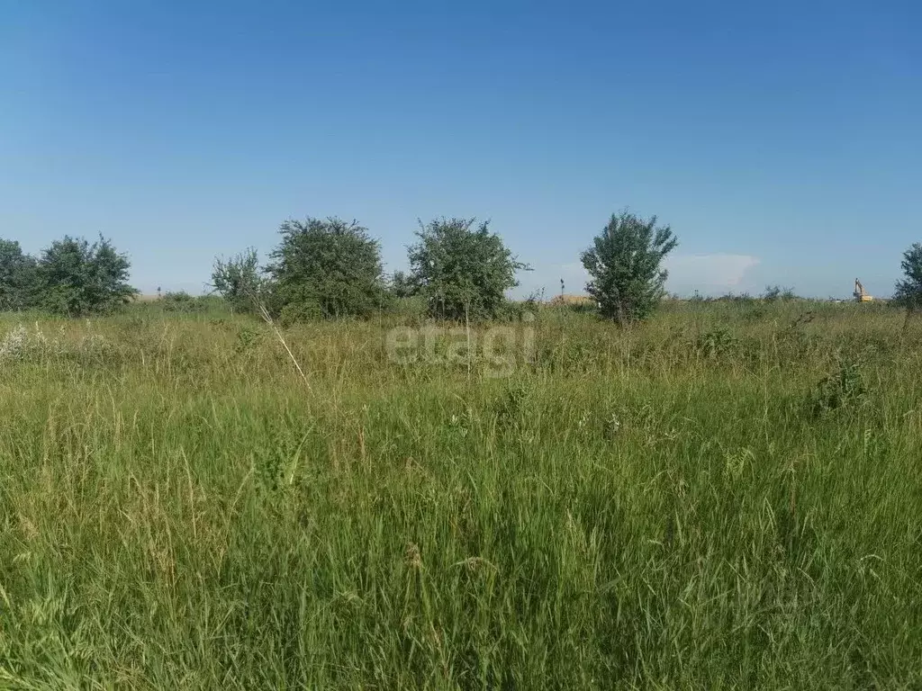 Участок в Краснодарский край, Усть-Лабинский район, Некрасовское ... - Фото 1