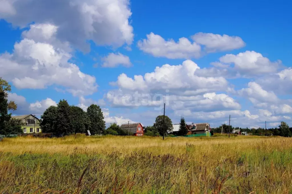Участок в Вологодская область, д. Стризнево (Старосельский сельсовет) ... - Фото 1