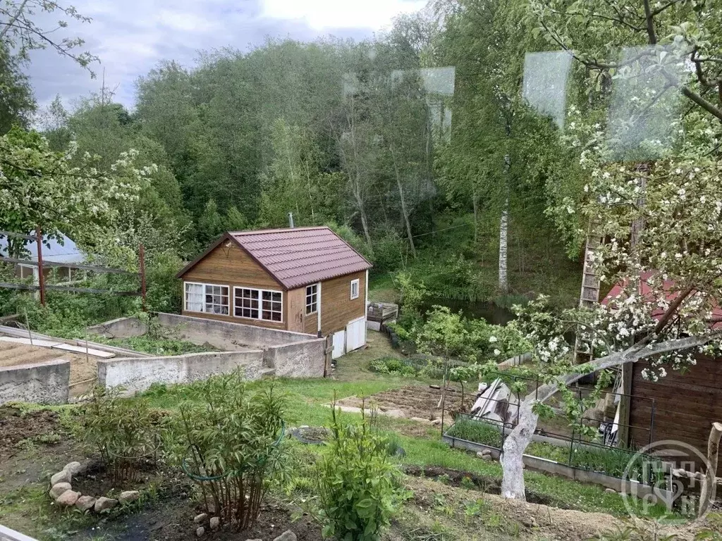 Участок в Ленинградская область, Всеволожский район, Токсовское ... - Фото 2