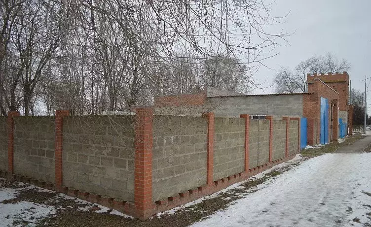 Производственное помещение в Краснодарский край, Крыловская ст-ца ул. ... - Фото 2