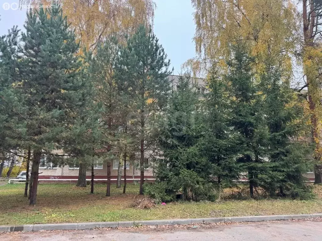 1-комнатная квартира: Лесная Поляна, 27 (30.1 м) - Фото 0
