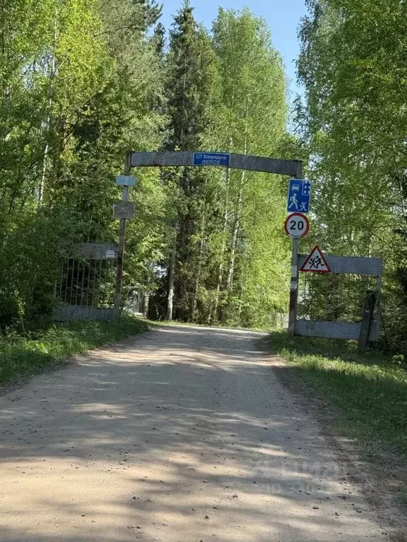 Дом в Кировская область, Юрьянский муниципальный район, Подгорцевское ... - Фото 1