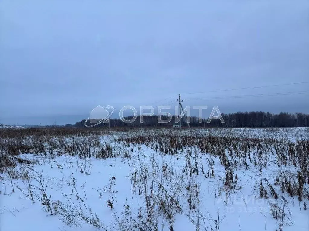 Участок в Тюменская область, Тюменский район, с. Горьковка Сибирская ... - Фото 1