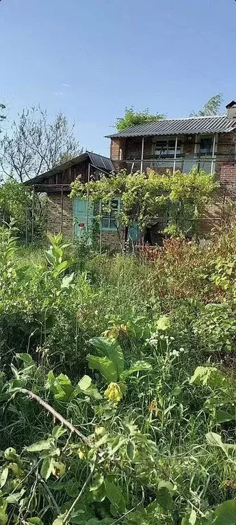 Участок в Ростовская область, Батайск Донская Чаша садовое ... - Фото 1
