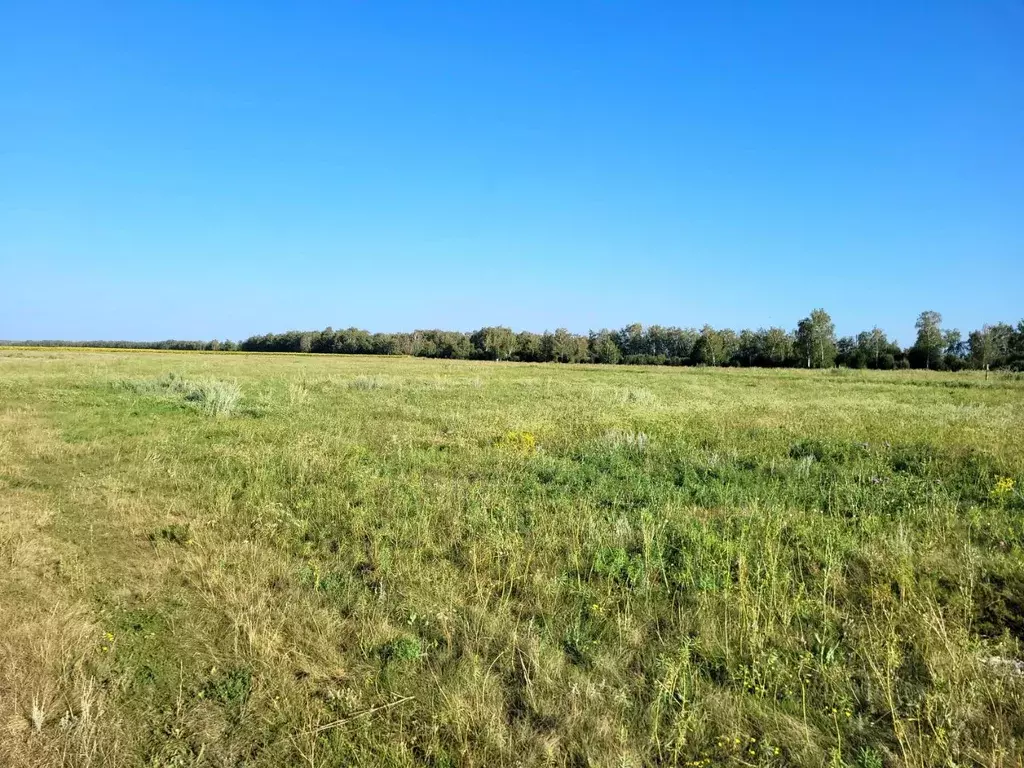 Участок в Саратовская область, Калининск 2-я Южная линия (6.0 сот.) - Фото 0