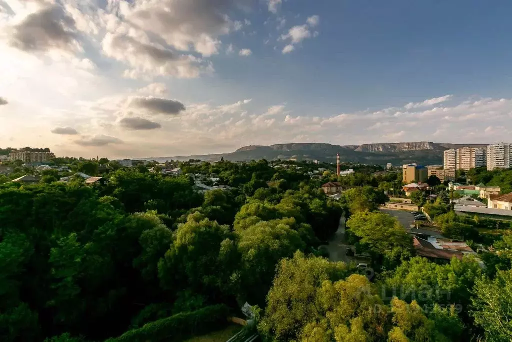 2-к кв. Ставропольский край, Кисловодск просп. Победы, 43А (115.0 м) - Фото 2