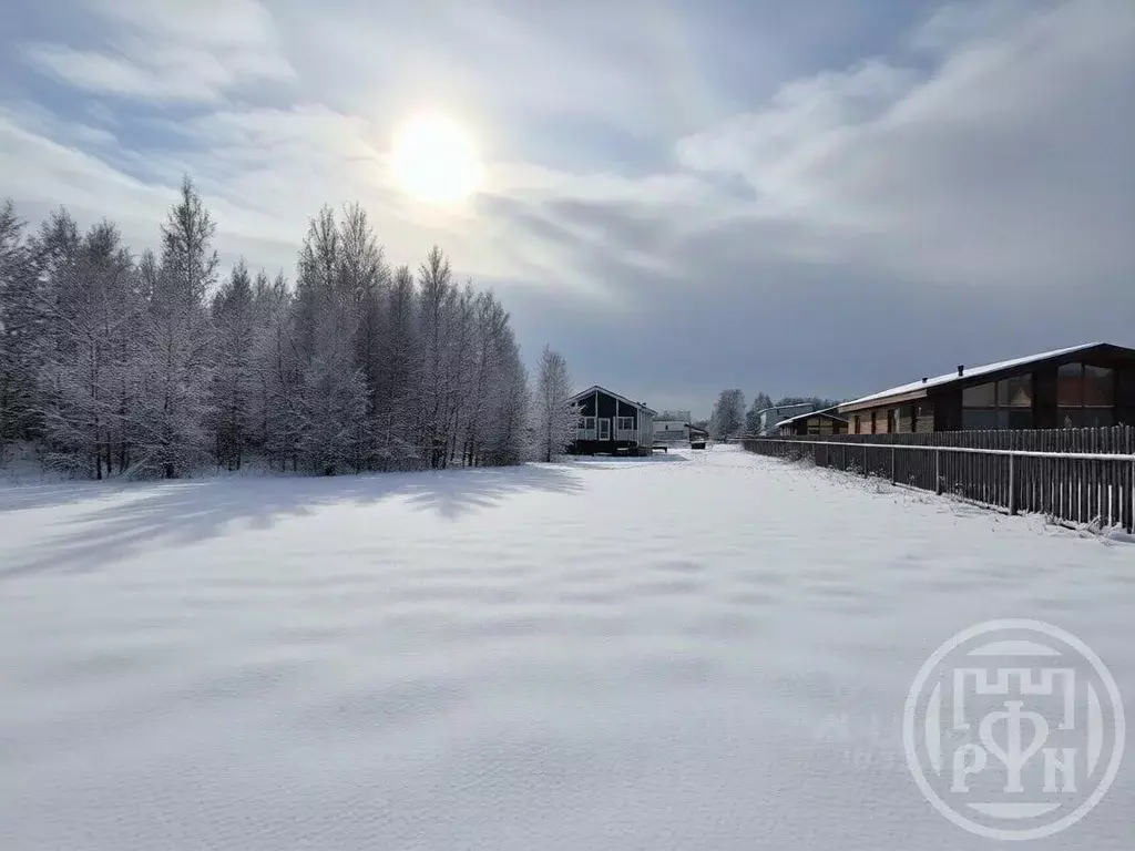 Участок в Ленинградская область, Тосненский район, Ульяновское ... - Фото 1